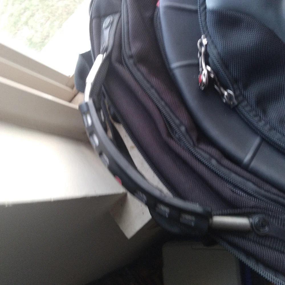 Black and Gray Men's Swiss Guard Backpack 19
